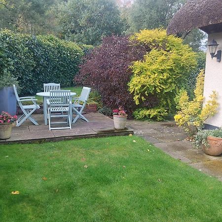 Rock House Cottage Exeter Esterno foto